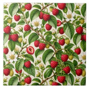 Botanisch frambozen- en bloesempatroon tegeltje
