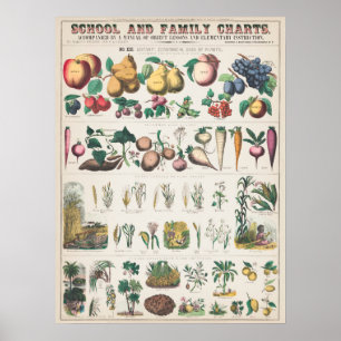 botanisch fruit poster