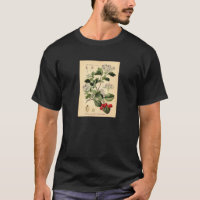 Botanisch - Hawthorn Crataegus oxyacantha monogyna