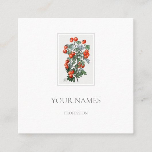 BOTANISCH "HAWTHORN" WITTE VISITEKAARTJE (Voorkant)