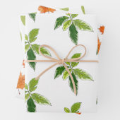 Botanisch Inpakpapier Vel (In situ)