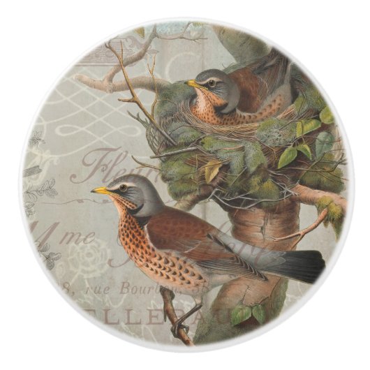 Botanisch Nesting Birds Script Ephemera Keramische Knop (Voorkant)
