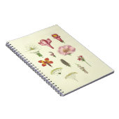 Botanisch Notitieboek (Rechterzijde)