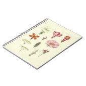 Botanisch Notitieboek (Linkerzijde)