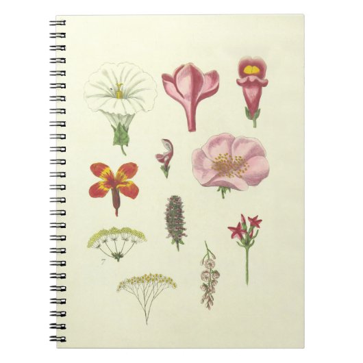 Botanisch Notitieboek (Voorkant)