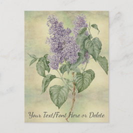  Botanisch Paars Lila Syringa Vulgaris Briefkaart