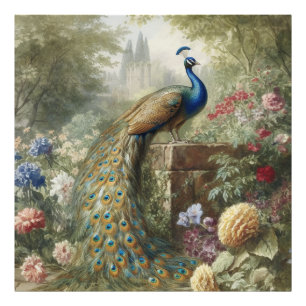 Botanisch: pauw in de buurt van kasteel in Engelse Foto Afdruk
