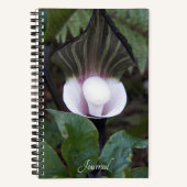 Botanisch Plant met Jack-in-the-Pulpit Notitieboek (Voorkant)