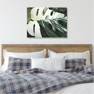 Botanisch Plant met variëteit Zwitserse kaas Canvas Afdruk