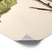  Botanisch Poster (Hoek)