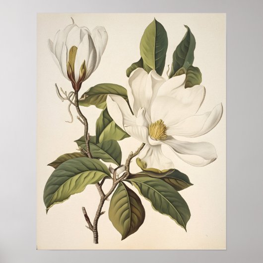  Botanisch Poster (Voorkant)