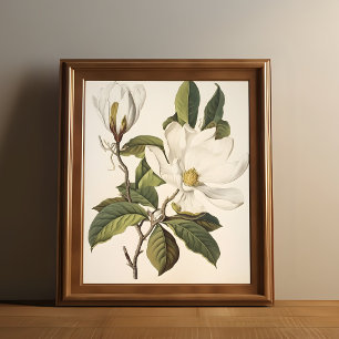  Botanisch Poster