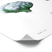 botanisch Poster - Bloemkool (Hoek)