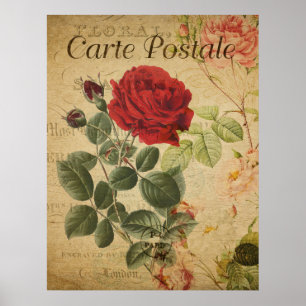  botanisch Poster - Frans Briefkaart Roos