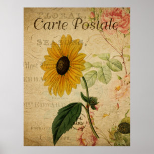 botanisch Poster - Franse zonnebloem