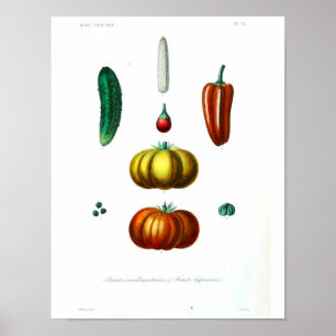  Botanisch Poster - Knijp