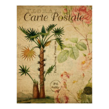 botanisch Poster - palmboom