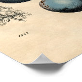 botanisch Poster - Plum (Hoek)