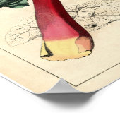  Botanisch Poster - Rhubarb (Hoek)