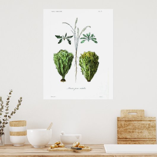  botanisch Poster - Sla (Keuken)