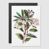 Botanisch Roos met kerstmis Vloer Bouquet (Voorkant / Achterkant)