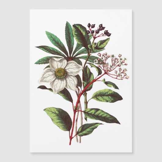 Botanisch Roos met kerstmis Vloer Bouquet (Voorkant)