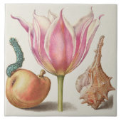 Botanisch Tegeltje (Voorkant)