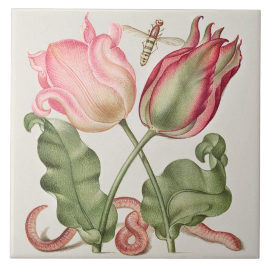  Botanisch Tegeltje (Voorkant)