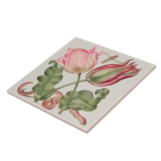  Botanisch Tegeltje (Zijkant)