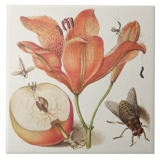  Botanisch Tegeltje (Voorkant)