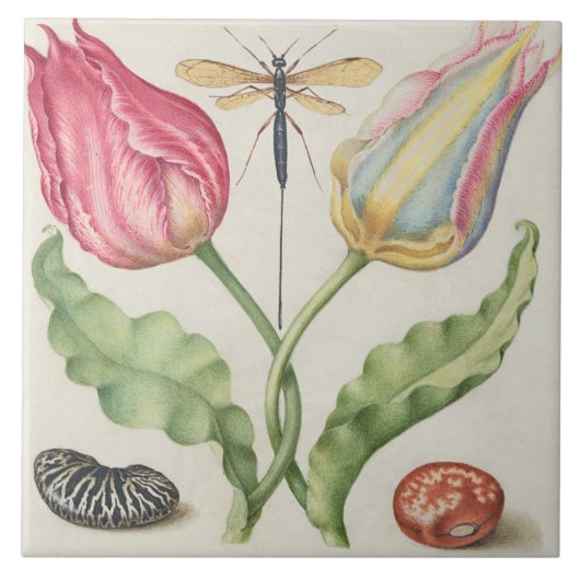  Botanisch  Tegeltje (Voorkant)