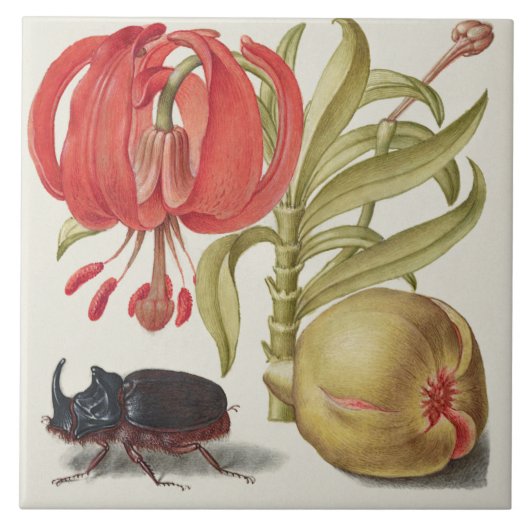  Botanisch Tegeltje (Voorkant)