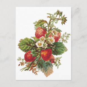 botanische aardbeien briefkaart