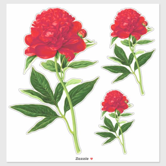  botanische afdruk, diepe rode pony sticker (Vel)