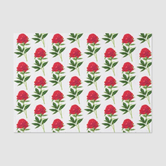 botanische afdruk, diepe rode pony tissuepapier (Voorkant)