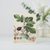 Botanische afdruk figuren briefkaart (Staand voorkant)