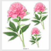  botanische afdruk, Pastel Pink Peony Sticker (Vel)