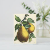  botanische afdruk - peren briefkaart (Staand voorkant)