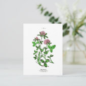  botanische afdruk van klaver briefkaart (Staand voorkant)