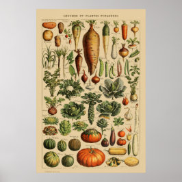 botanische afdruk van Poster op basis van groente