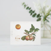  BOTANISCHE AFDRUKAPPARAAT EN BRIEFKAART VAN DE KA (Staand voorkant)