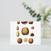 botanische afdrukken op noten briefkaart (Staand voorkant)