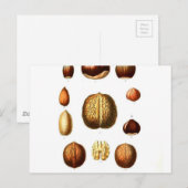 botanische afdrukken op noten briefkaart (Voorkant / Achterkant)