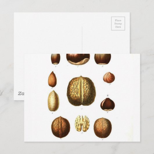  botanische afdrukken op noten briefkaart (Voorkant / Achterkant)