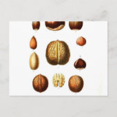  botanische afdrukken op noten briefkaart (Voorkant)