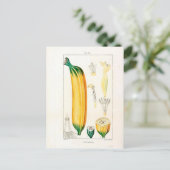botanische afdrukken van bananen briefkaart (Staand voorkant)
