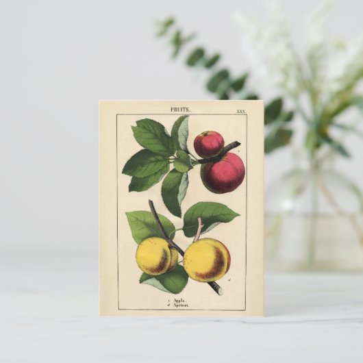Botanische afdrukken van vruchten briefkaart (Staand voorkant)