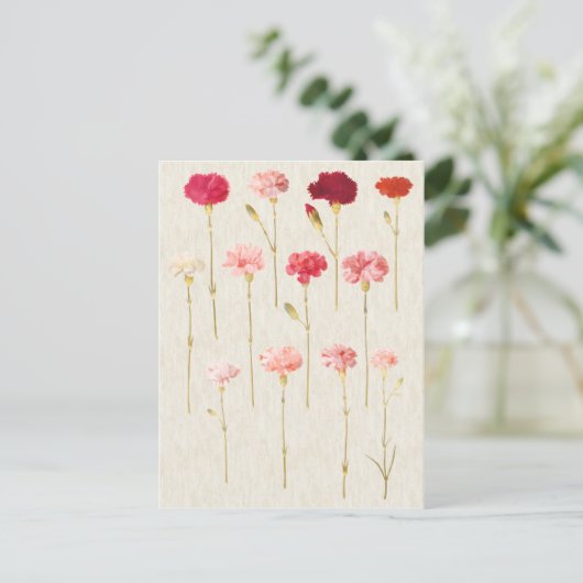 botanische anenillustratie briefkaart (Staand voorkant)