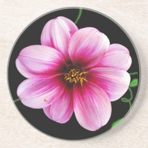 Botanische Bleke roze Dahlia-ventilator op elke kl Zandsteen Onderzetter