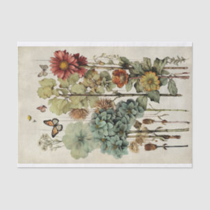 Botanische bloem illustraties op perkament nr. 6 tissuepapier